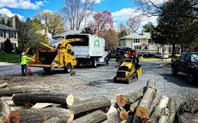 Best Utility Line Clearance  in Deming, NM